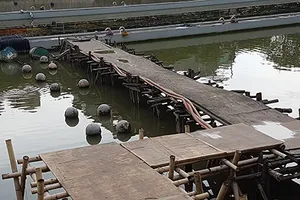 Dự án nhạc nước 200 tỉ đồng: Chưa có câu trả lời!