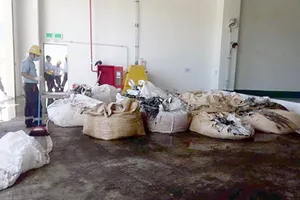 Giám đốc công ty môi trường đem chất thải của Formosa về... bón cây