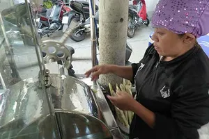 Bày kế mưu sinh cho phụ nữ nghèo