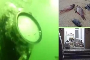 Không khởi tố vụ án thợ lặn ở Formosa bị chết