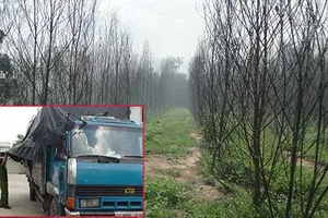 Đồng Nai: Bãi rác độc hại có giang hồ gác