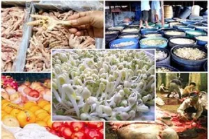 Tọa đàm ‘Ngăn chặn kinh doanh thực phẩm gian dối’