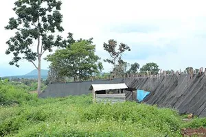 Chủ tịch xã ‘tòm tem’ chủ tịch hội phụ nữ