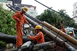 Dự báo bão số 1 chưa sát thực tế