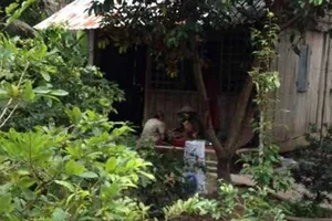 Thiếu thông tin, văn phòng công chứng thua kiện 