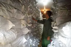 Sẽ truy trách nhiệm cá nhân vụ Formosa