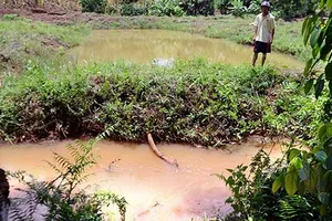 Nhà máy Nhân Cơ cam kết không tái diễn sự cố tràn xút