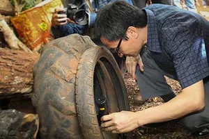 Bệnh sốt xuất huyết ở Tây Nguyên cao gấp hàng chục lần cả nước