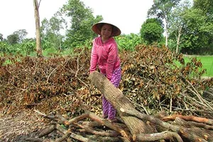 Lấy tài sản chung để thi hành án nghĩa vụ riêng 