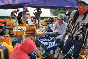 Người miền Trung 'thắt lưng buộc bụng' sau sự cố Formosa