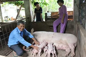 Gắng gượng vượt lên nỗi đau da cam…