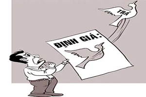 Rối việc định giá chim của giám đốc sở