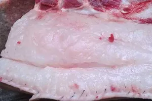 Có nên cho trẻ ăn mỡ động vật?