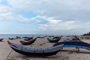 Chưa có kết luận về an toàn cá biển miền Trung