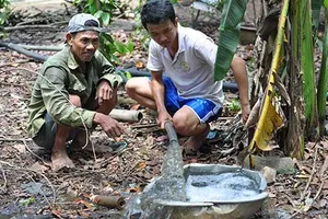 16 trại heo ‘bao vây’ cư dân