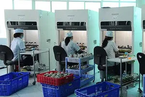 Xây dựng TP.HCM sớm trở thành TP thông minh