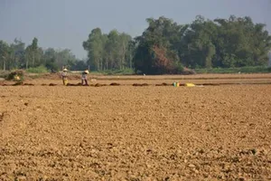 Thèm một mùa cuốc đất bỏ ải!