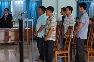 Tòa vẫn kết án vụ cưa gỗ khô trong rừng