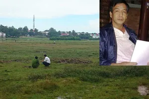 Xịt thuốc cỏ để đòi đất, bị xử tù