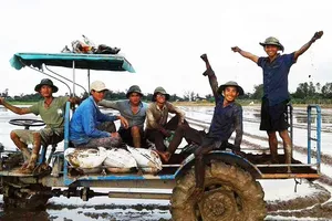 Người làm ra gạo sạch bán cháy hàng tại TP.HCM