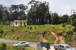 Khánh Hòa: Xóa sổ 100 ha rừng ở Hòn Bà