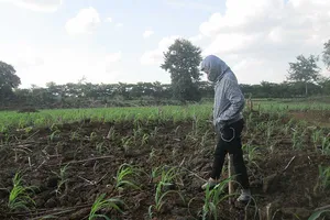 Tranh chấp đất ‘nóng’ do xã chứng sai