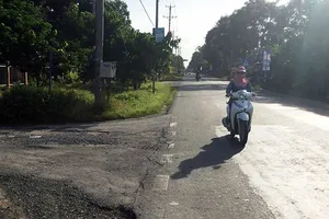 Ném cây làm người khác gặp nạn, có bị tội?