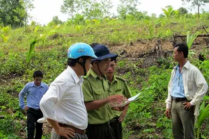 Tranh cãi về vụ hủy hoại rừng ở Phú Quốc