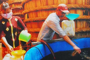 Mất oan tiền thật mua nước mắm đạm ảo