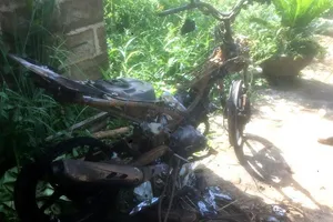 Giăng dây bắt kẻ bắn trộm heo