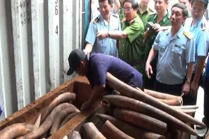 Những chiêu giấu ngà voi ‘bịt mắt’ máy soi