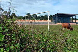 Sân vận động tiền tỉ dành để… thả bò