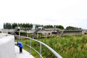 NM xử lý nước thải không dám xử lý... nước thải