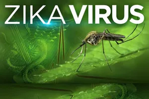 TP.HCM sẽ huy động học sinh chống dịch Zika