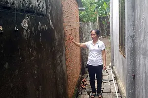 Lấn chiếm đất, chỉ trả tiền là xong?