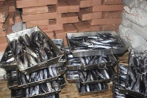 Hà Tĩnh còn 320 tấn hải sản không an toàn chưa tiêu hủy