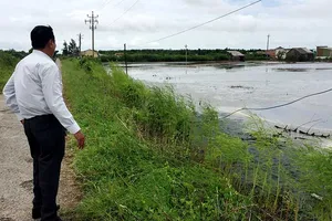 Cấp giấy đỏ cho UBND xã, được không?