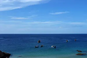 Bác đề xuất cắt hơn 1.000 ha khu bảo tồn Hòn Cau 