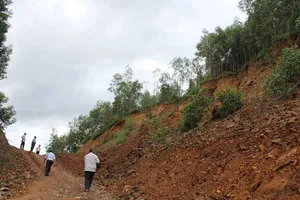 Nguy hiểm chực chờ ở vùng ‘bệnh lạ’