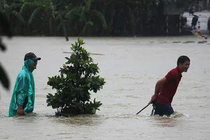 Lũ ở Bình Định làm 4 người chết