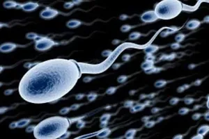 Tinh trùng đàn ông Trung Quốc ngày càng xấu