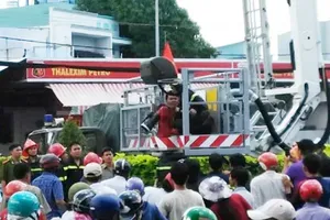 Cử tri TP.HCM lo lắng về nạn ‘ngáo đá’