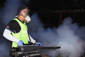 Không diệt lăng quăng bị phạt tới 1,5 triệu đồng