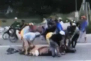 Tranh xẻ thịt trâu chết: Không đói mà tham!