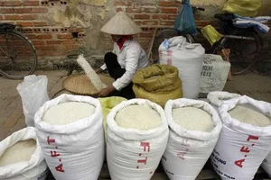 Vì sao gạo Việt bị 'đo ván' cả sân nhà lẫn sân khách?