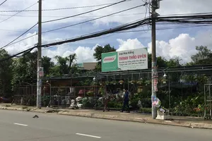 Khổ vì lẫn lộn đất thổ và đất nông nghiệp 