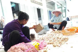 Những người già phải bỏ nhà, xin vào mái ấm