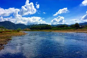 Kiến nghị dừng thủy điện 1.270 tỉ đồng