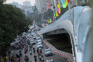 Nhà khoa học phải tìm ra giải pháp cho giao thông