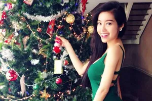 Nguồn gốc của cây trang trí Giáng sinh